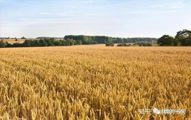 黄河源头在哪里经过几个省,黄河流经哪几个省份(为什么《天下长河》中的黄河不流经北方) 黄河源头在哪里经过几个省,黄河流经哪几个省份(为什么《天下长河》中的黄河不流经北方)