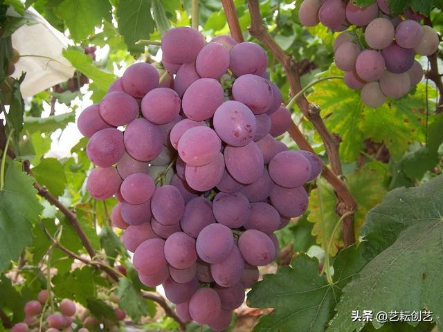 辽宁省有哪些市，锦州附近都有哪些城市（全国地理标志农产品目录系列之辽宁省——）