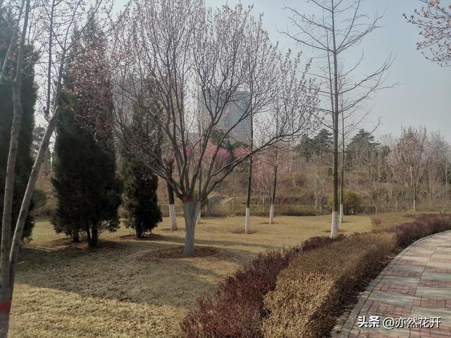 职场写作：提案的写作技巧