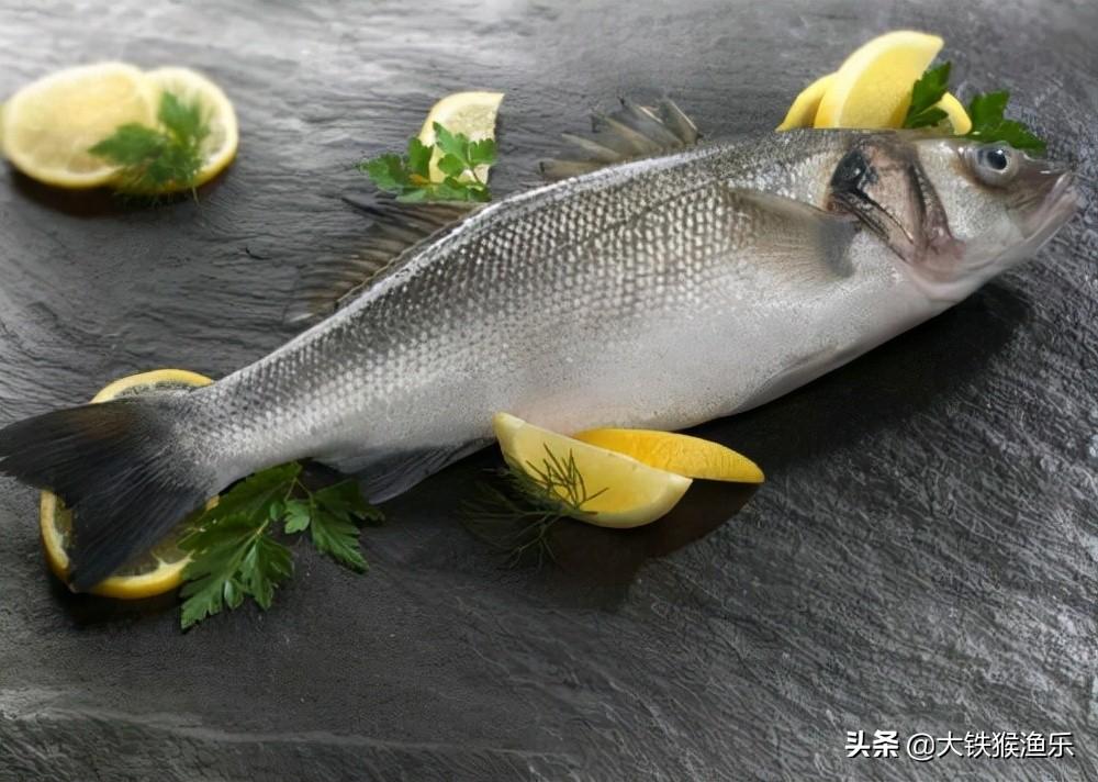 什么鱼最好吃(5种公认最好吃的海鱼)