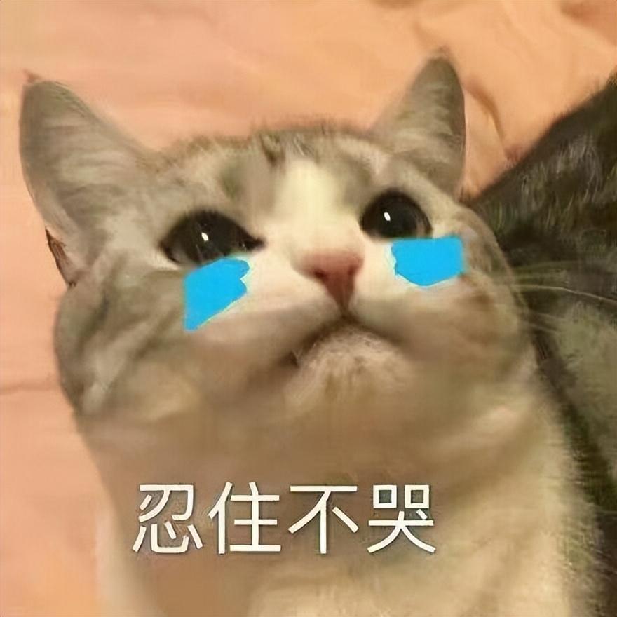 微信照片发不出去(为啥照片发不出去)