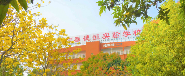 私立小学招聘老师信息，想去私立小学当老师怎么进去（阳春市德恒实验学校招聘教师）