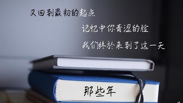 致逝去的青春的句子，表达逝去的青春的句子（藏着我们逝去的青春）