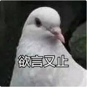收好这几张万能表情包，75张万能糊弄敷衍的表情包
