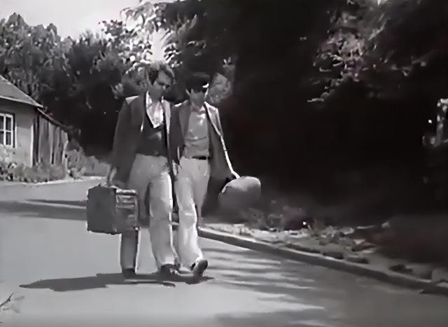 米莱的扮演者是谁，米莱 扮演者（《黑名单上的人》当年万人空巷）