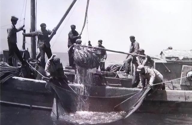 青海湖简介，监测青海湖简介（禁渔10年最大的鱼有多大）
