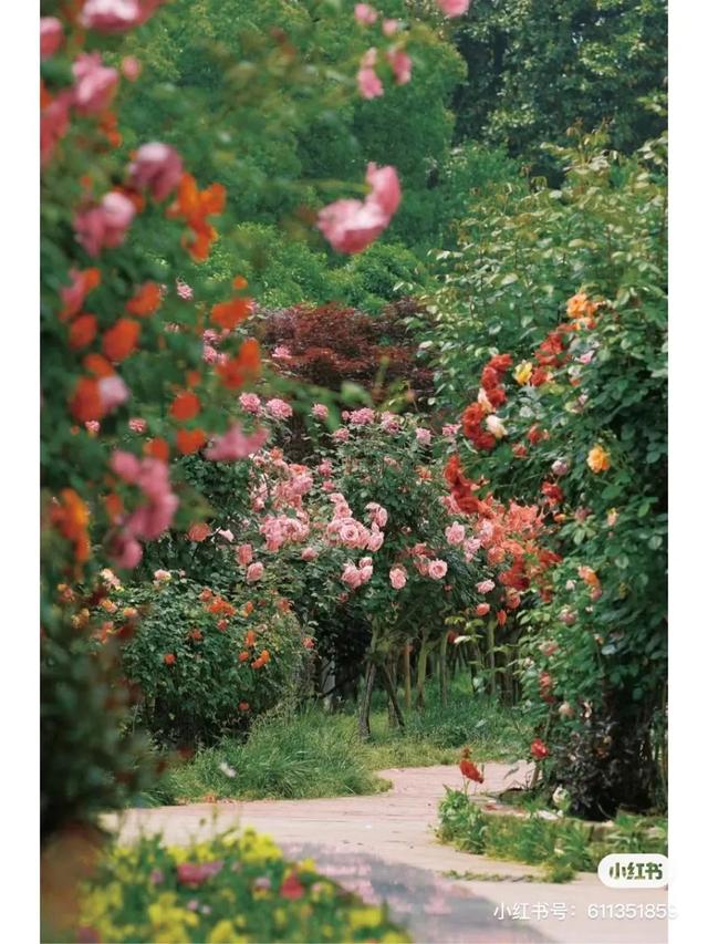 长沙生态动物园门票，长沙生态动物园门票多少暮云那个（赏花、露营、亲子、文博等）
