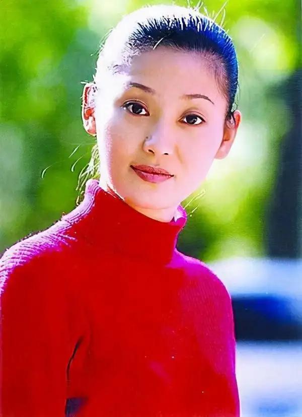 江珊主演的电视剧，江珊与靳东主演的电视剧全集（王志文和江珊不是夫妻胜似夫妻）