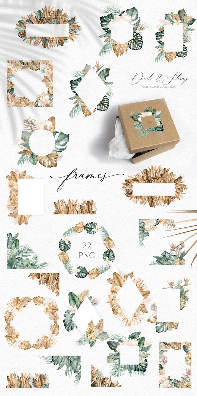 滴水观音价格，北欧插画丨梦幻般的热带雨林（滴水观音价格1.5米）