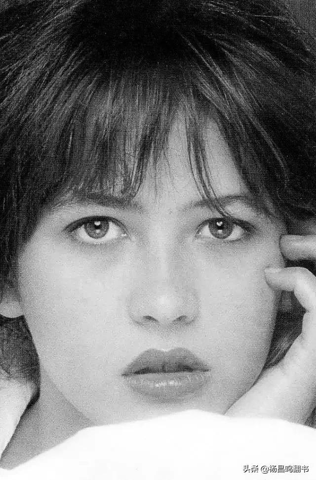 苏菲是什么，法国女人叫苏菲（苏菲是什么电视剧的女主角）