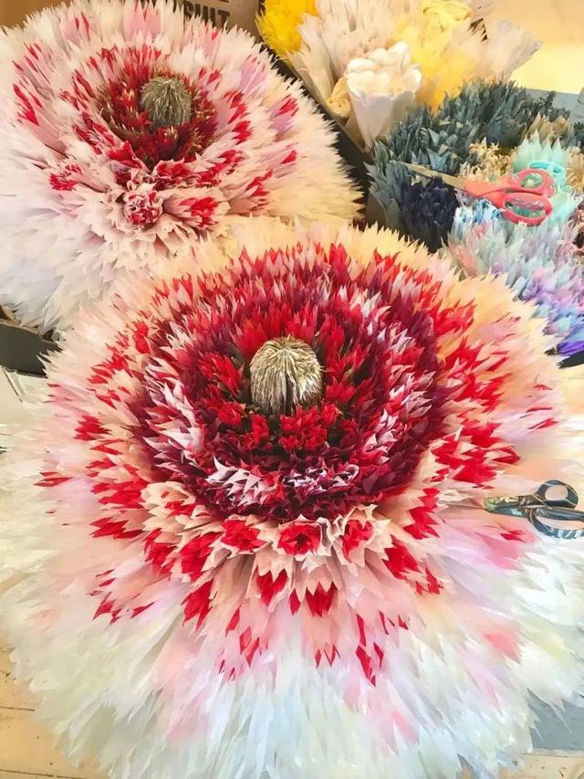 用卫生纸怎么做花，怎样用卫生纸做白花（她用纸种花，美成了童话）