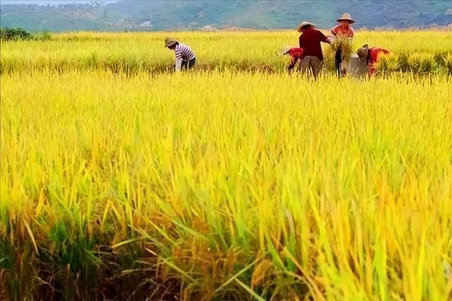 八月好运。，八月好运派送中（愿你和好运扑个满怀图片）