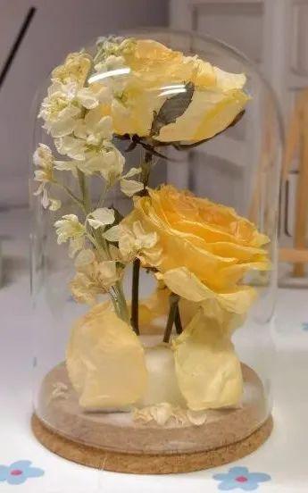 厦门大学宿舍，厦门大学宿舍几人间（一起提升宅寝幸福感）