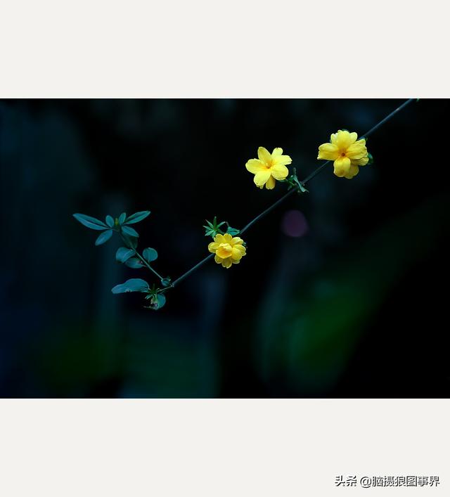 高光质感背景图，高清高级感背景图（若有这6个错误的深色背景照片）