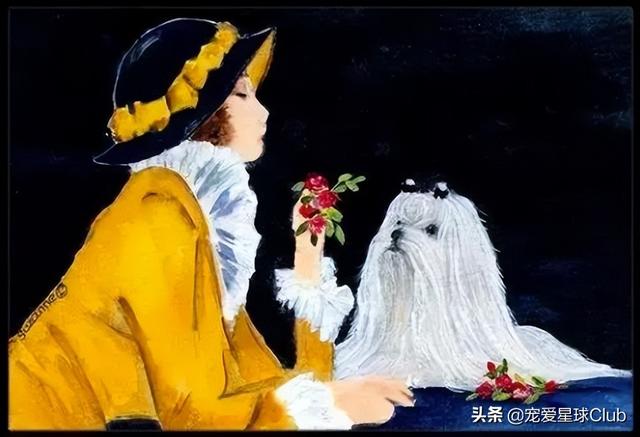 小狗的简单介绍，狗的介绍手抄报（狗狗也分高低贵贱）