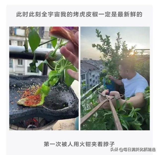 开车是什么意思网络用语，网络语言开车是什么意思（搞笑合集：这也太尴尬了吧）