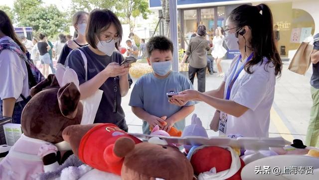 上海宠物领养活动，收养代替购买~在奉浦街道