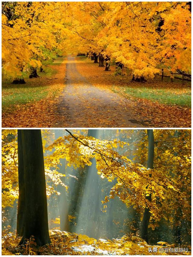 夏天去哪里旅游合适,夏天适合去哪旅游(这些地区旅游的最佳季节) 夏天去哪里旅游合适,夏天适合去哪旅游(这些地区旅游的最佳季节)