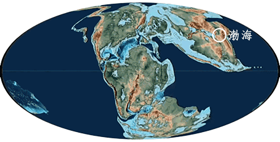 沧海桑田的沧海是哪个海，“沧海桑田”（渤海，越来越小了，地球知识局）