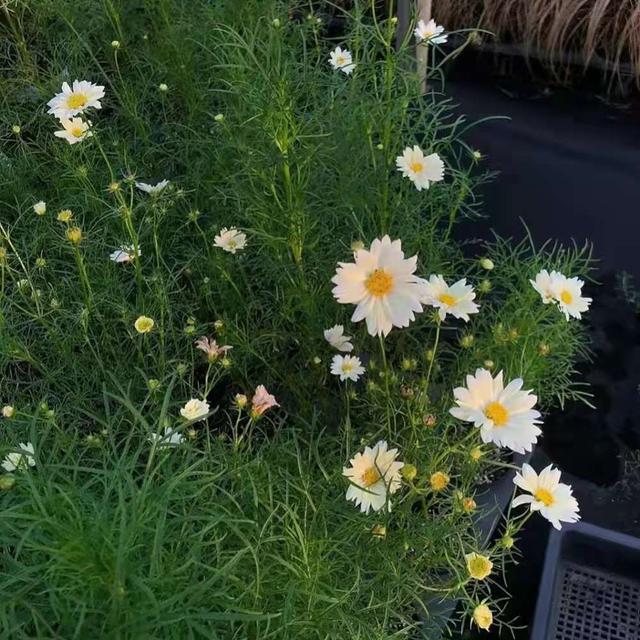 失望的网名，对一个人心寒失望的网名（文案丨“满眼失望的短句文案”）