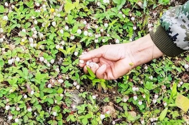 汉中旅游景点排名推荐，汉中旅游景点大全排名榜（在汉中一年四季可以这样玩 →）