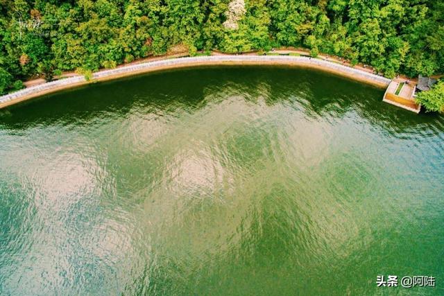 关于诸暨五泄风景区介绍，诸暨五泄风景区图片（今年的船票价格涨了一倍）