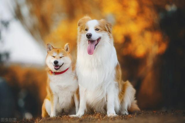 最近一些搞笑的梗，20句神反转搞笑朋友圈文案哈哈哈哈哈哈笑到头掉