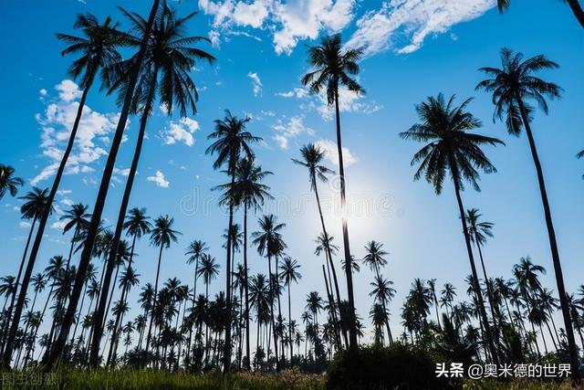 塞舌尔是哪个国家，塞舌尔在哪里（非洲唯一高收入“塞舌尔”是个怎样的国家）