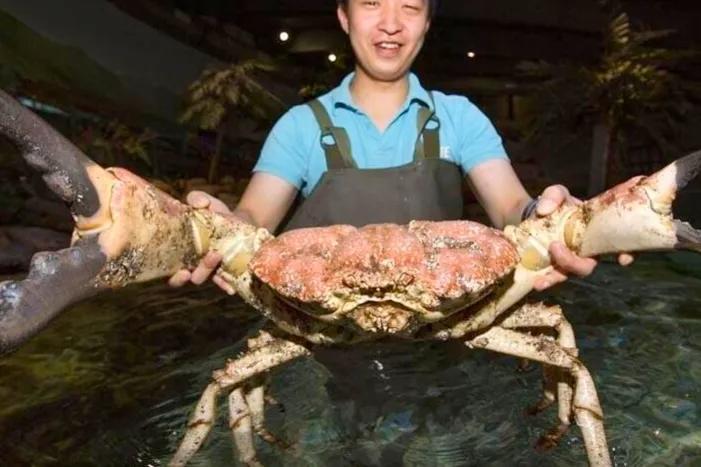 世界上最大的螃蟹前十名(巨型) - 去钓鱼