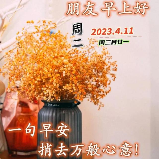 我今天为你祝福，我今天为你祝福歌词（感恩有你早晨问候祝福语）
