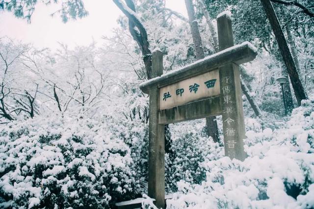 经典花诗歌句子，诗与花唯美句子（10首咏雪诗词）