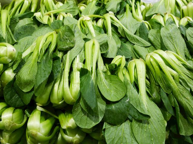 茴香苗包子馅的做法，荤香苗素包子馅的做法（试试这款冠军蔬菜）