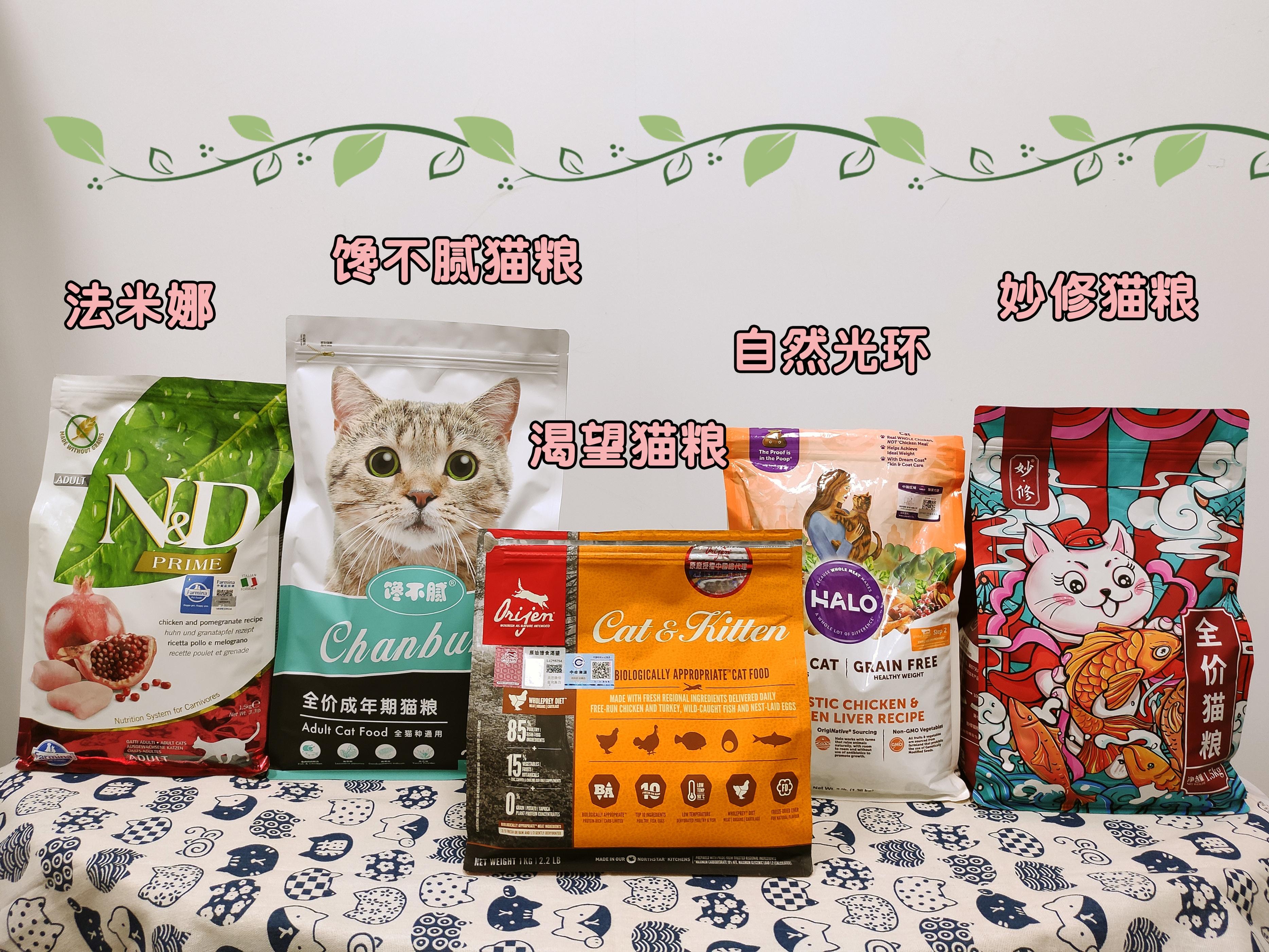 小猫多少钱 小猫直播间app下载