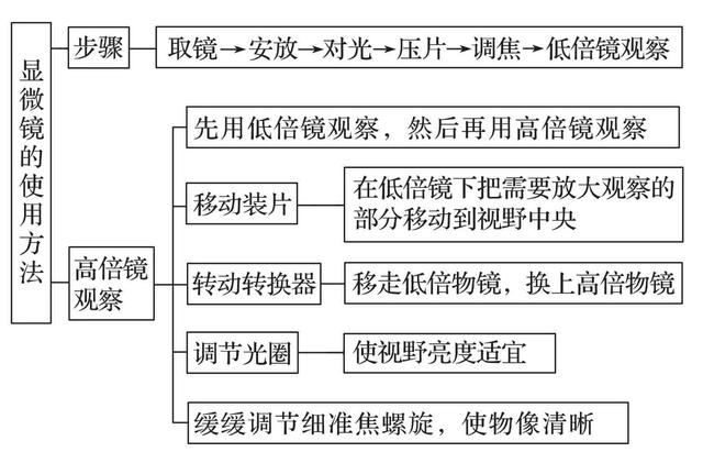 蔗糖是不是还原糖，麦芽糖和蔗糖是不是还原糖（高中生物易错题NO.2）