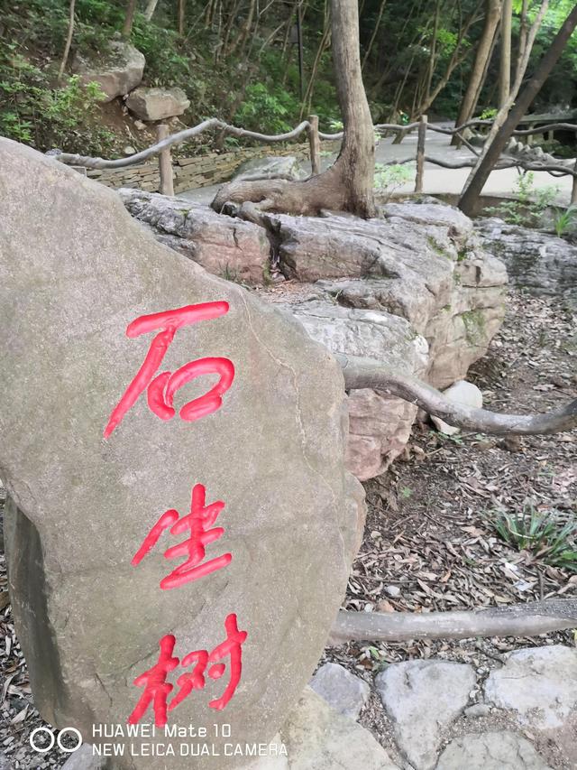 美丽的金丝峡景区，大秦岭的封面—金丝峽