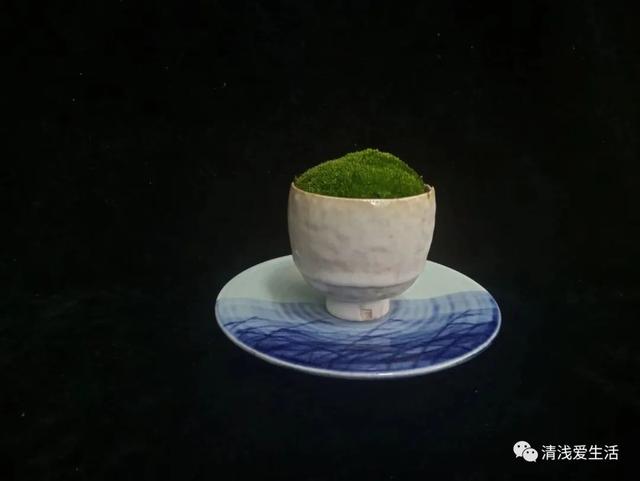 纸球的制作方法，如何制作纸球（省钱省土省花盆省空间）