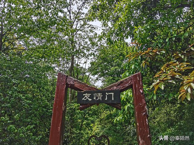 怎样游览邛崃天台山，去邛崃天台山（2022夏日自驾旅行体验）