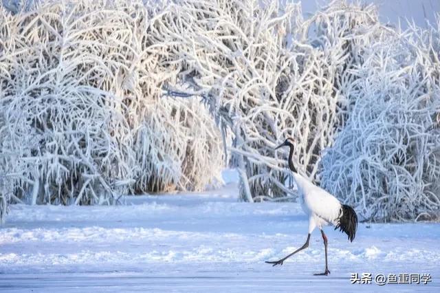 清明节气谚语有哪些 清明节的农事谚语和天气谚语，清明节气谚语有哪些（天气预报：重阳节将至）