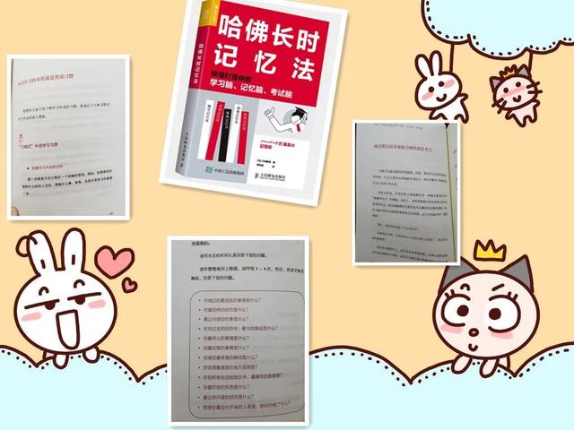 脑干自上而下包括哪些，脑干自上而下分别是（《哈佛长时记忆法》读书笔记）