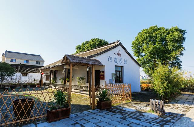 沙家浜茶馆名称，沙家浜的茶馆叫什名字（寻访芦荡里的峥嵘岁月）