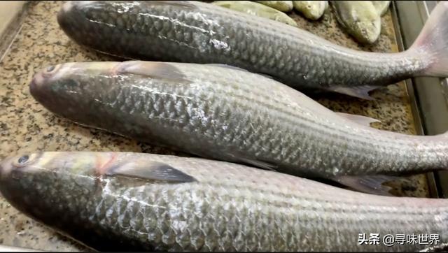 鲷鱼是什么鱼，脆肉鲷鱼是什么鱼（春夏季海鱼9大排名来了）