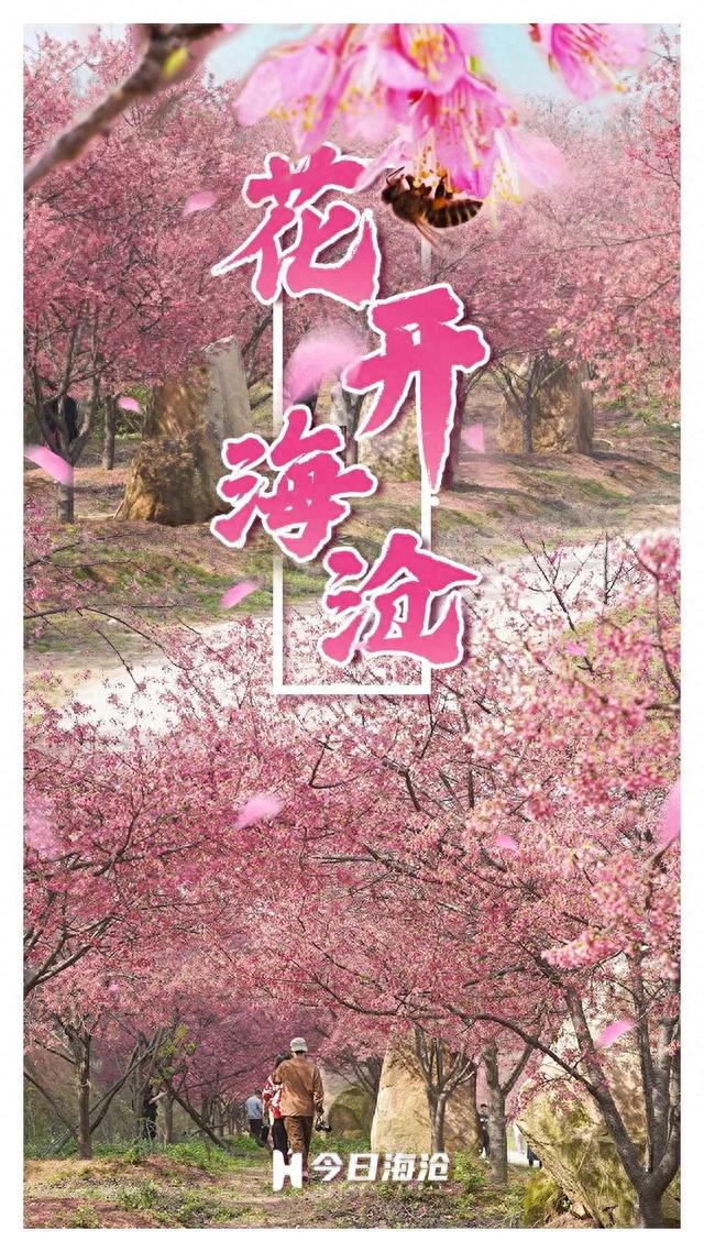 寻花秘境藏在厦门这里→