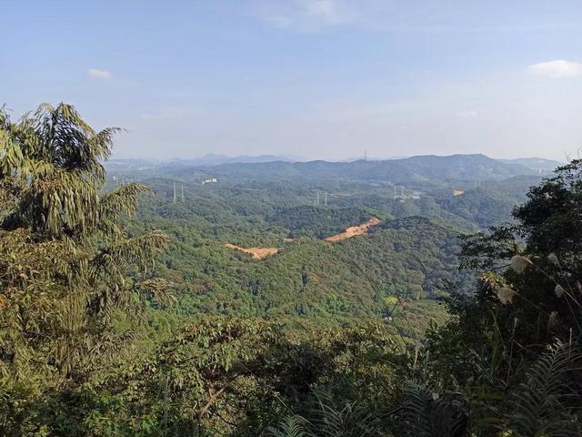 龙眼洞森林公园，广州龙洞森林公园介绍（广州徒步之渔龙线……）