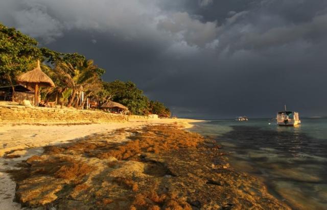 酸雨的ph值是多少，酸碱度ph值范围（中国小伙戴上防毒面具）