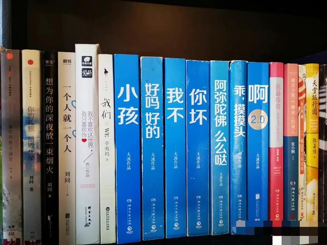 阳光快车道主持人，野生作家大冰简介（收山之作《保重》中的婉儿太美了）