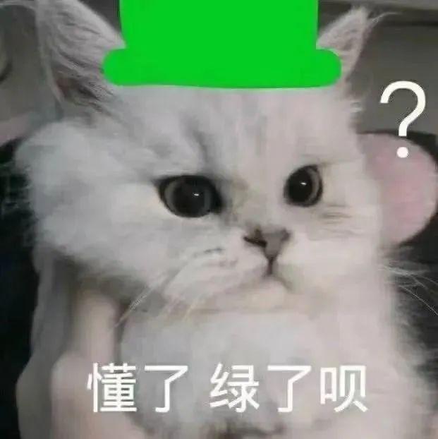 沙雕表情包/斗图必备，斗图表情包 沙雕（45个沙雕表情包）