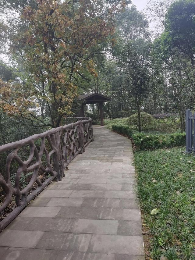 歌乐山森林公园，重庆旅游必去景点（歌乐山国家森林公园）