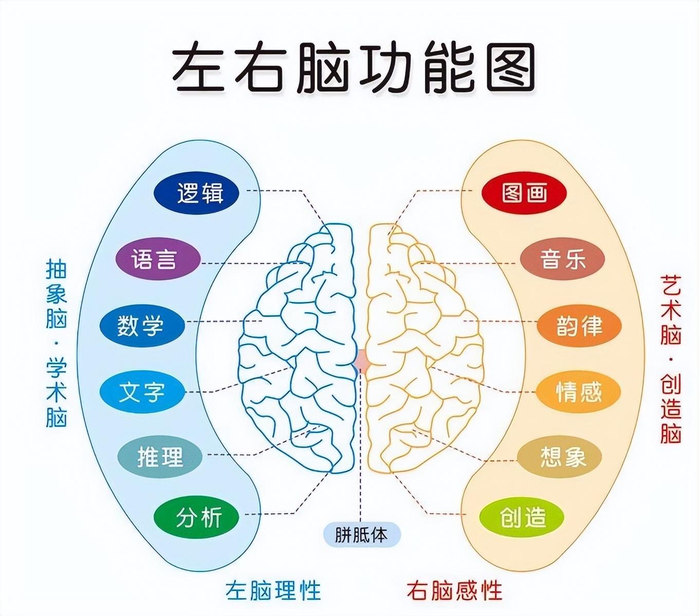 美国加州理工学院的期训潜罗杰61斯佩里教授曾提出左右脑分工的