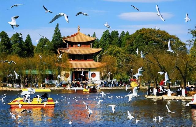 花城是指我国哪一城市，花城是哪个城市（你知道“昆明”这个名字的由来吗）