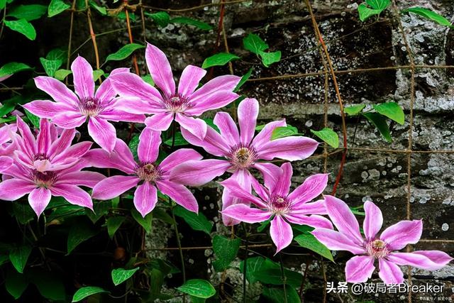 处事圆滑的技巧，教你处事圆滑的四大技巧